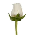 thumbnail image 1 of Roses 50 Farm Direct Fresh Cut Flowers White Do It Yourself Prewired Wired Roses by Bloomingmore, 1 of 6