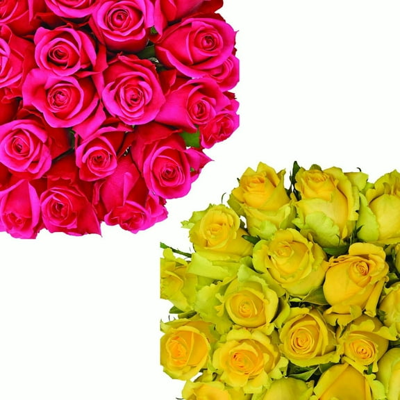 Roses 50 Stems of Assorted Yellow and Hot Pink Farm Direct Fresh Cut Flowers by Bloomingmore