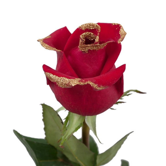 Roses 50 Stems of Red Farm Direct Fresh Cut Flowers with Hand Painted Gold Glitter on the Bloom Tips by Bloomingmore