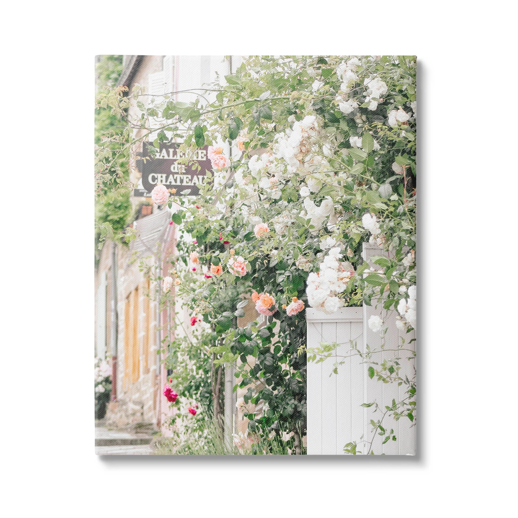 Roses Blooming French Neighborhood Town & City Photograph Gallery Wrapped Canvas Print Wall Art