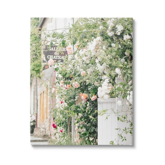 Roses Blooming French Neighborhood Town & City Photograph Gallery Wrapped Canvas Print Wall Art