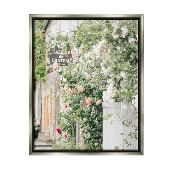 Roses Blooming French Neighborhood Town & City Photograph Luster Gray Framed Art Print Wall Art