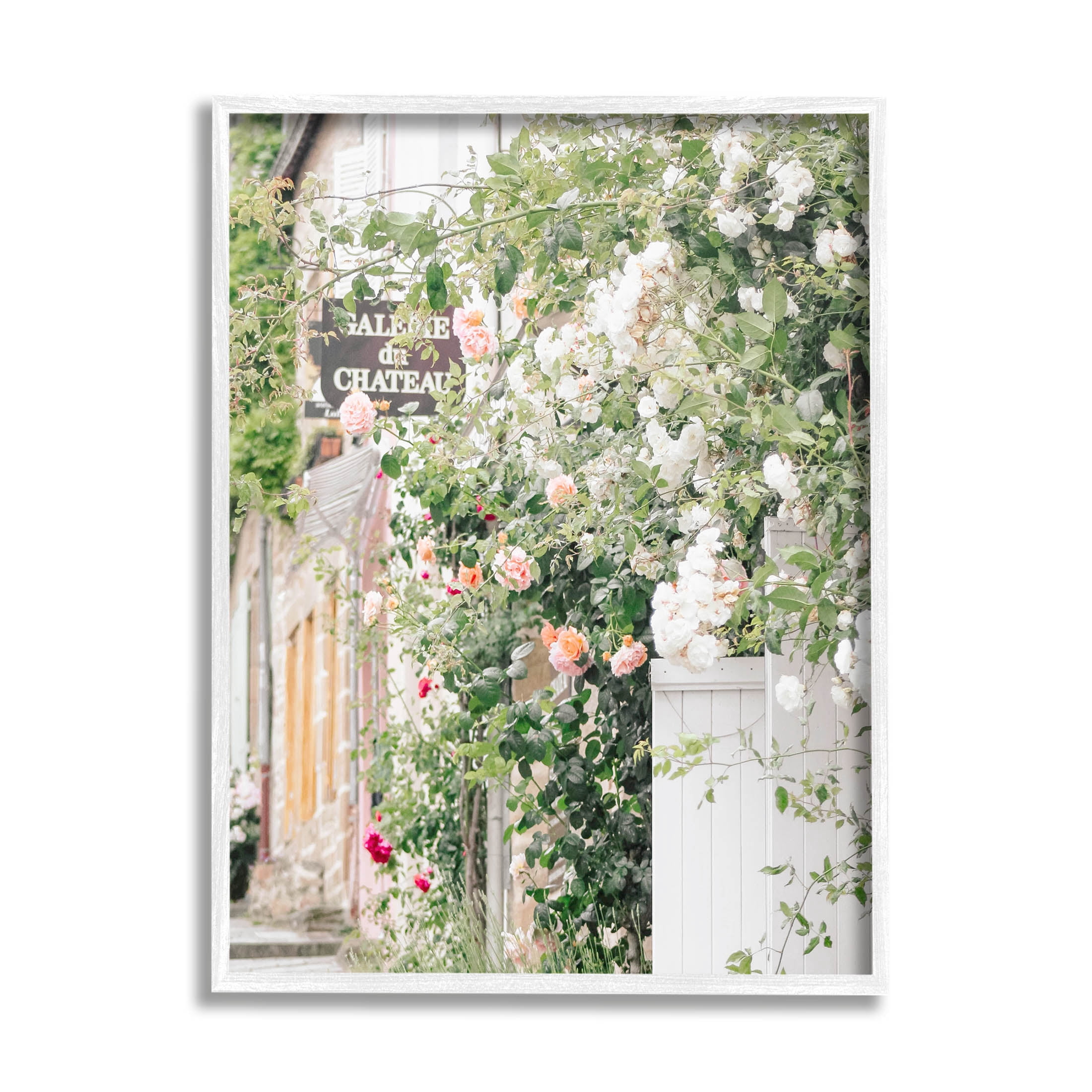 Roses Blooming French Neighborhood Town & City Photograph White Framed Art Print Wall Art