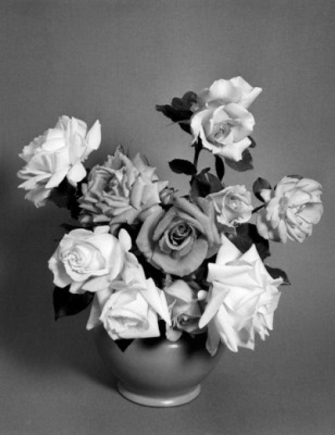 Roses Canvas Art -  (24 x 36)