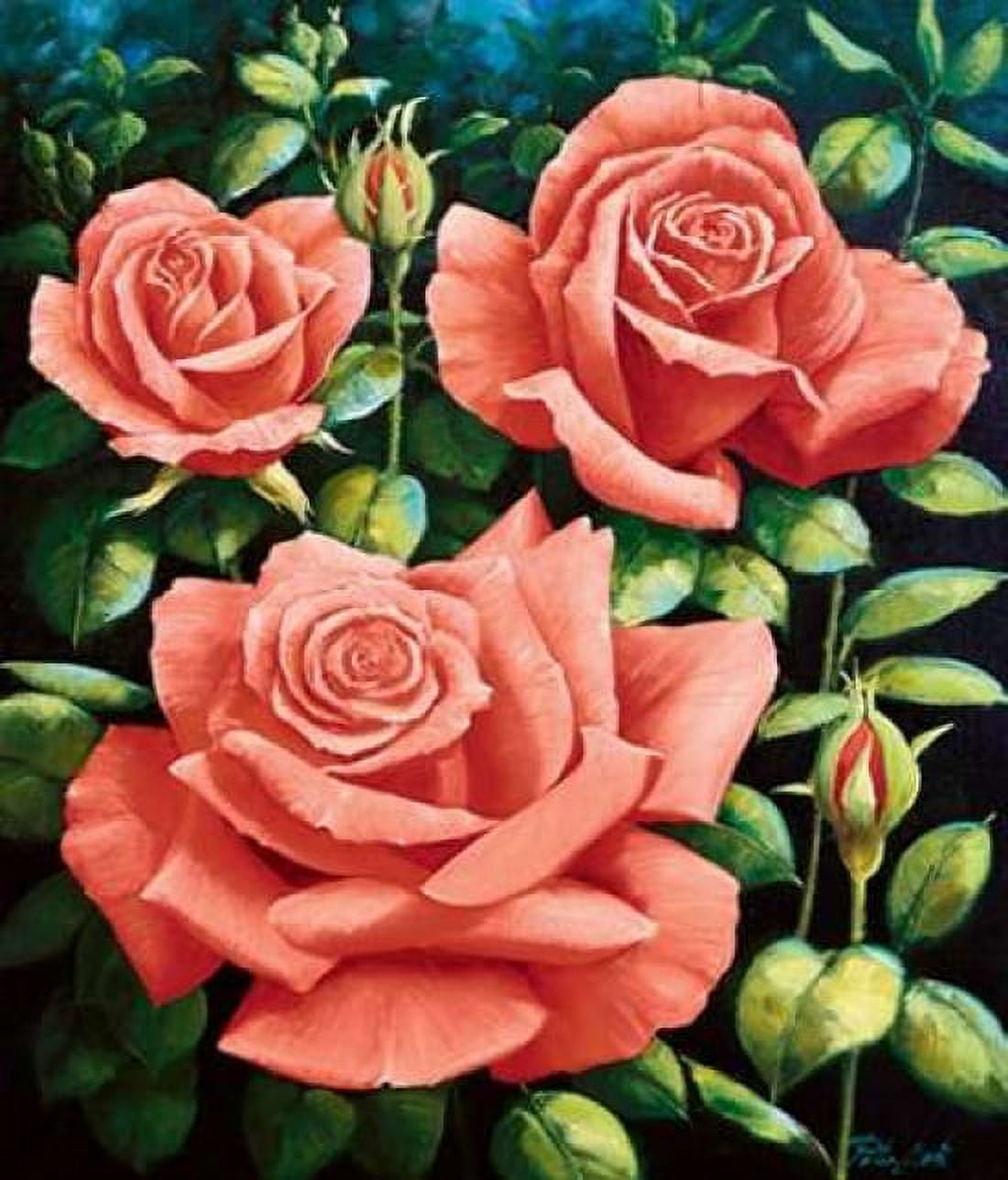 Roses Canvas Art - Peter Motz (24 x 24)