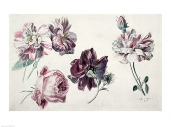 Roses Canvas Art - Sir Lawrence Alma-Tadema (24 x 18)