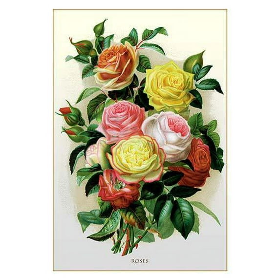Roses-Fine Art Canvas Print (20" x 30")