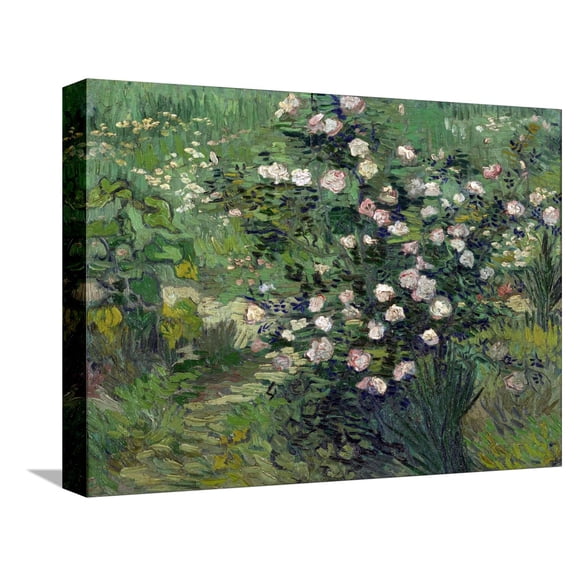 Roses Peinture De Vincent Van Gogh (1853-1890) 1889 National Museum of Western Art, Tokyo, Japon Stretched Canvas Print by Vincent van Gogh, 16" x 12", Sold by Art.com