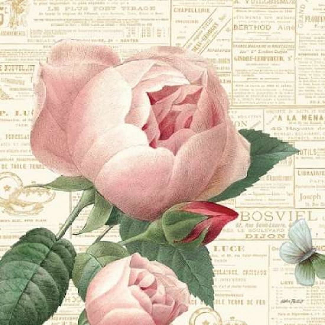 Roses in Paris V Canvas Art - Katie Pertiet (24 x 24)