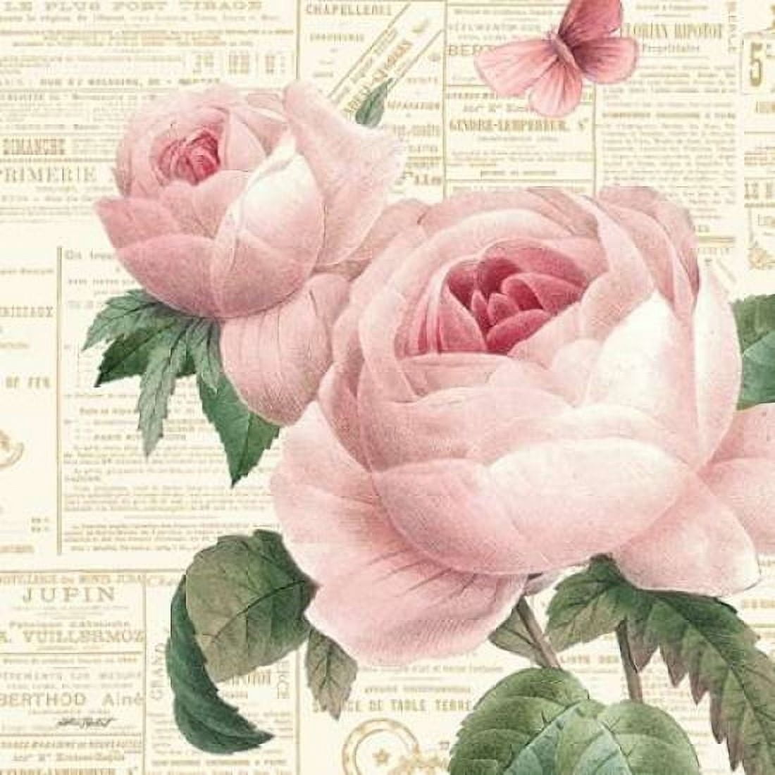 Roses in Paris VI Canvas Art - Katie Pertiet (24 x 24)