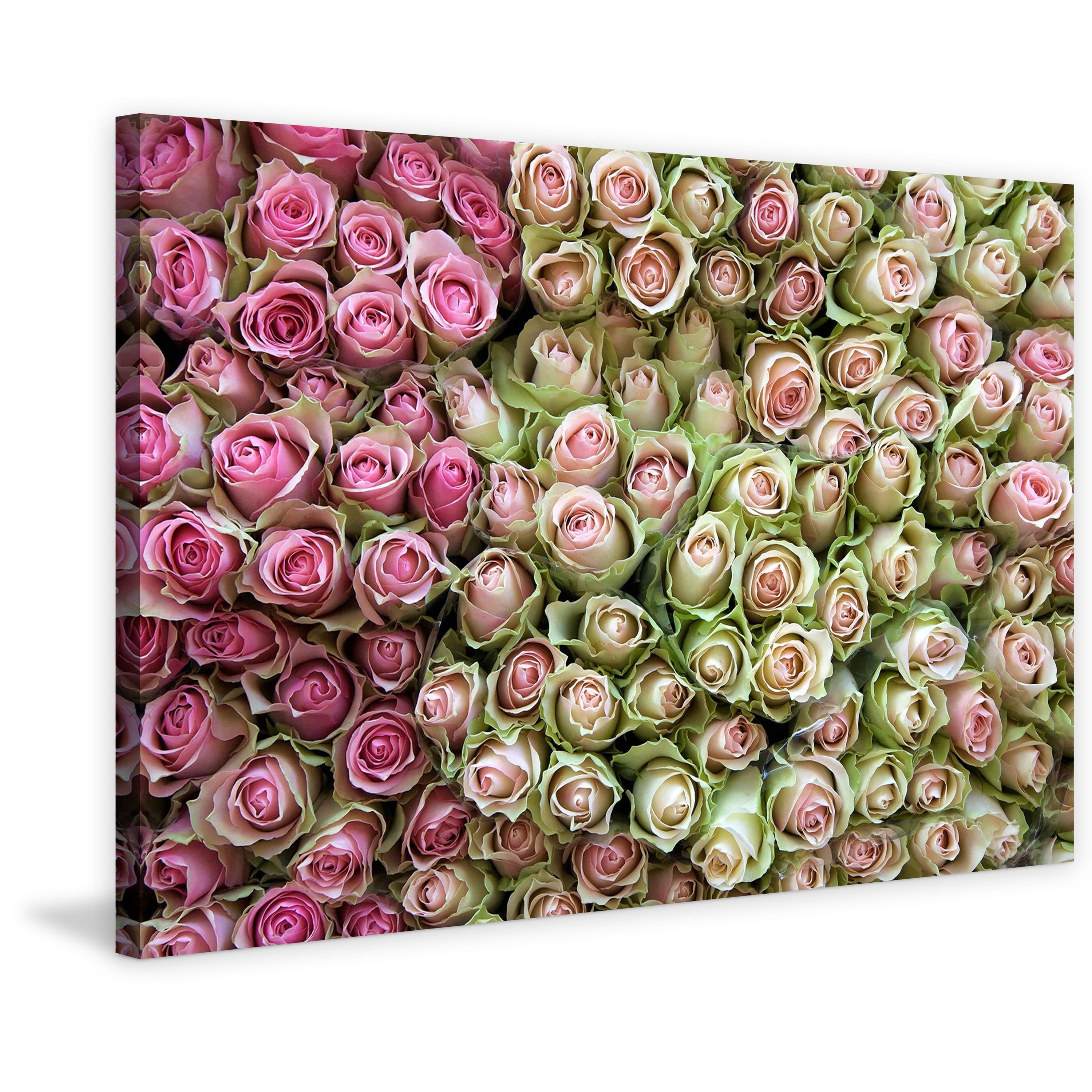 "Roses in Pink" Painting Print on Wrapped Canvas