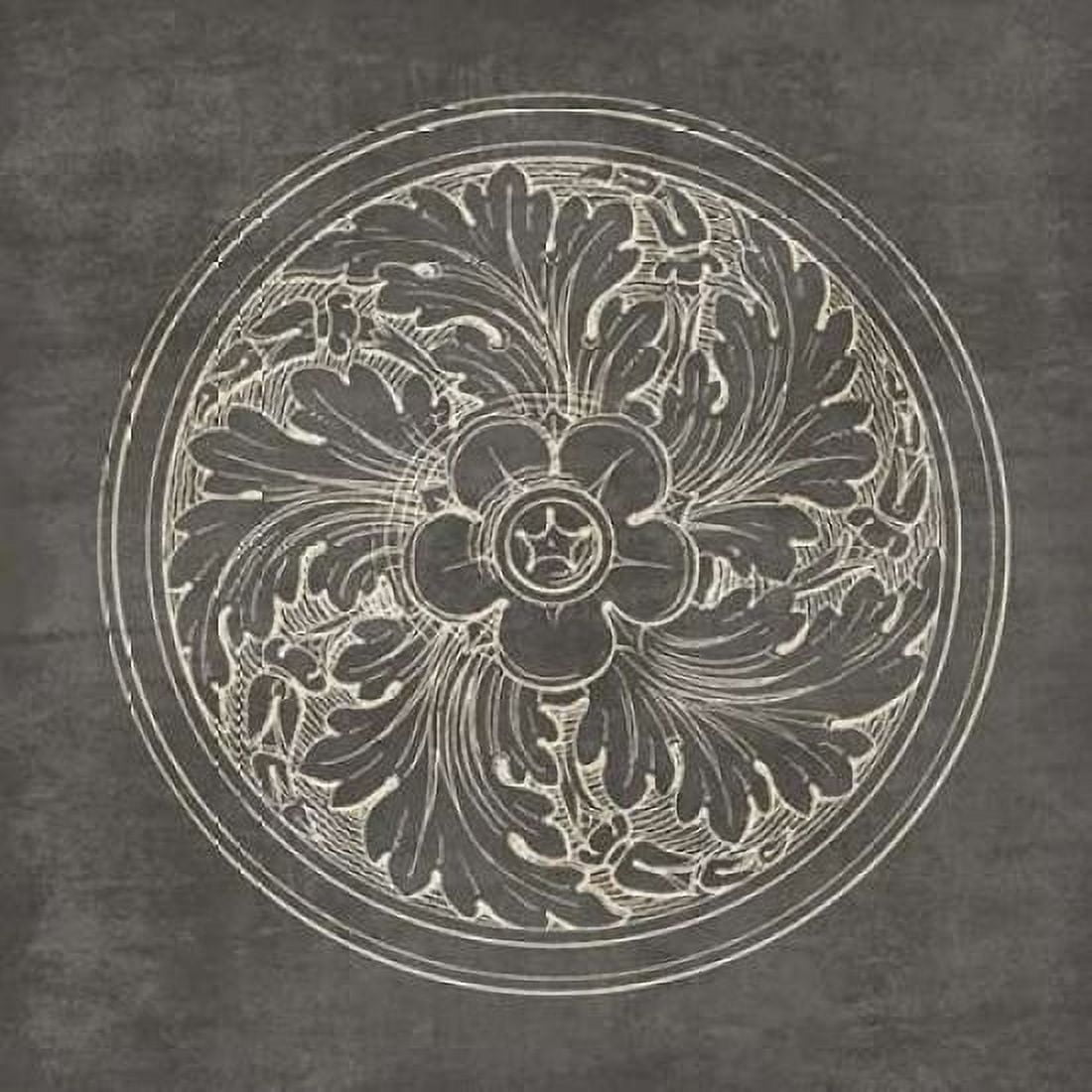 Rosette II Gray Canvas Art - Wild Apple Portfolio (24 x 24)