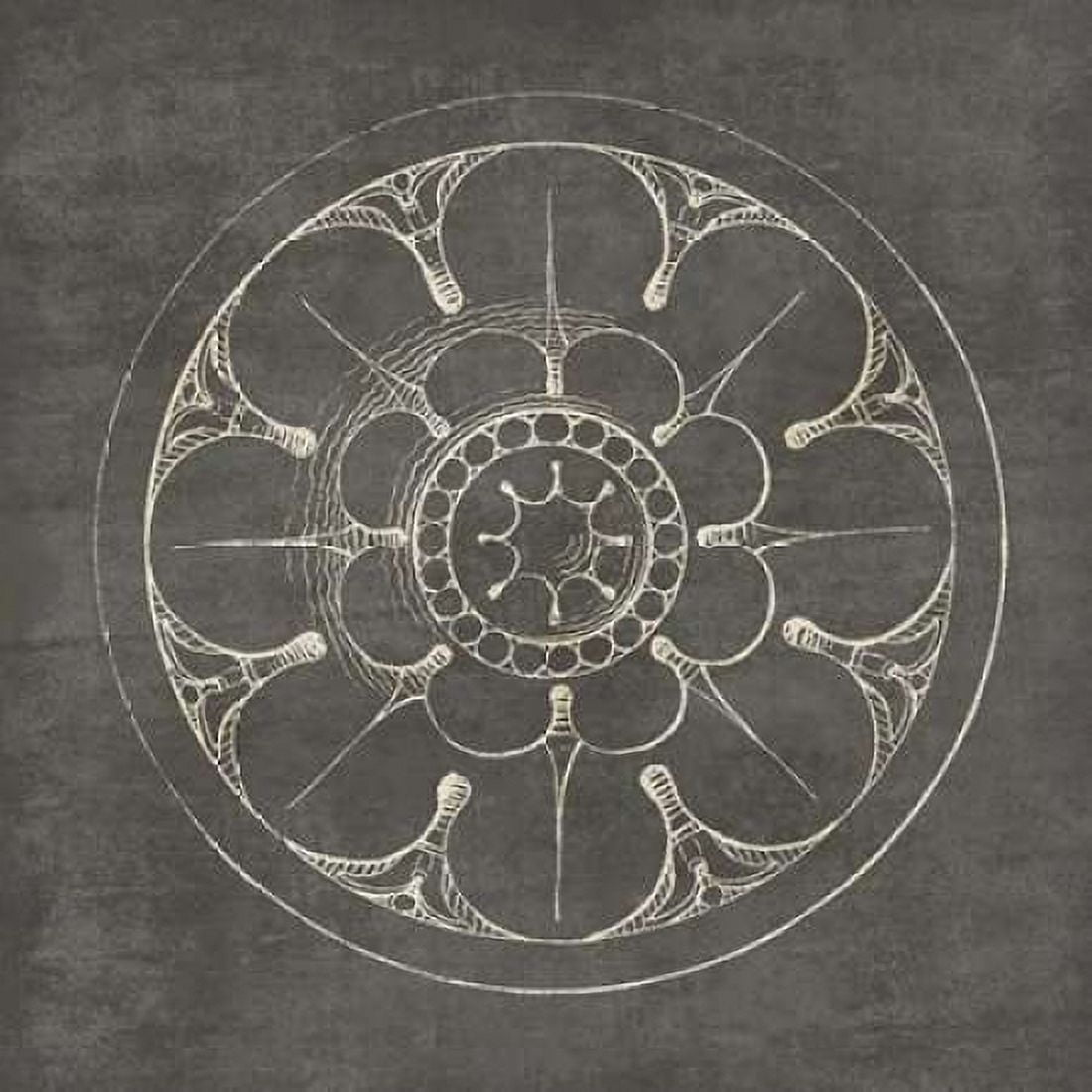 Rosette III Gray Canvas Art - Wild Apple Portfolio (24 x 24)