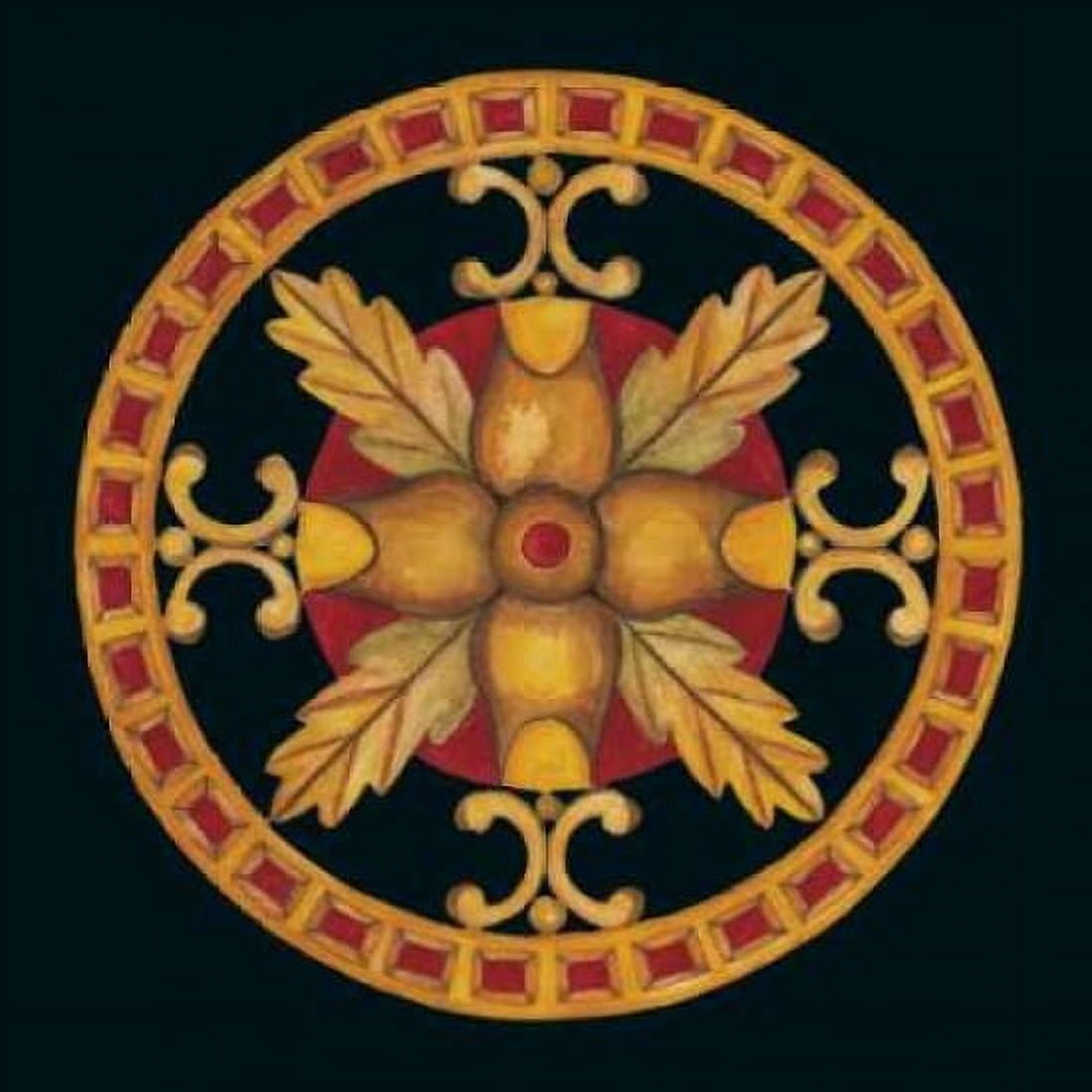 Rosette IV Canvas Art - Lee Anderson (24 x 24)