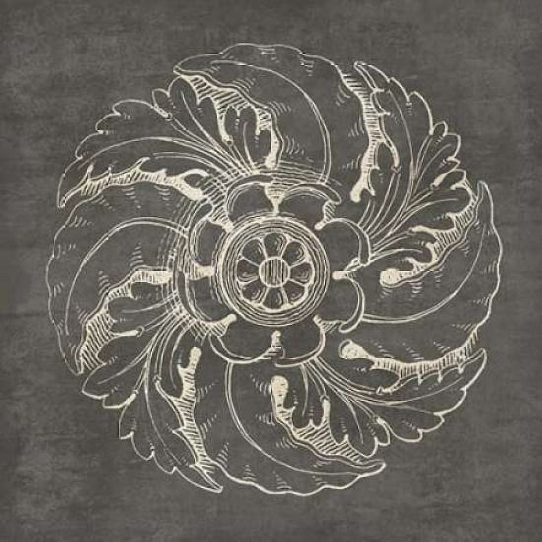 Rosette IV Gray Canvas Art - Wild Apple Portfolio (24 x 24)