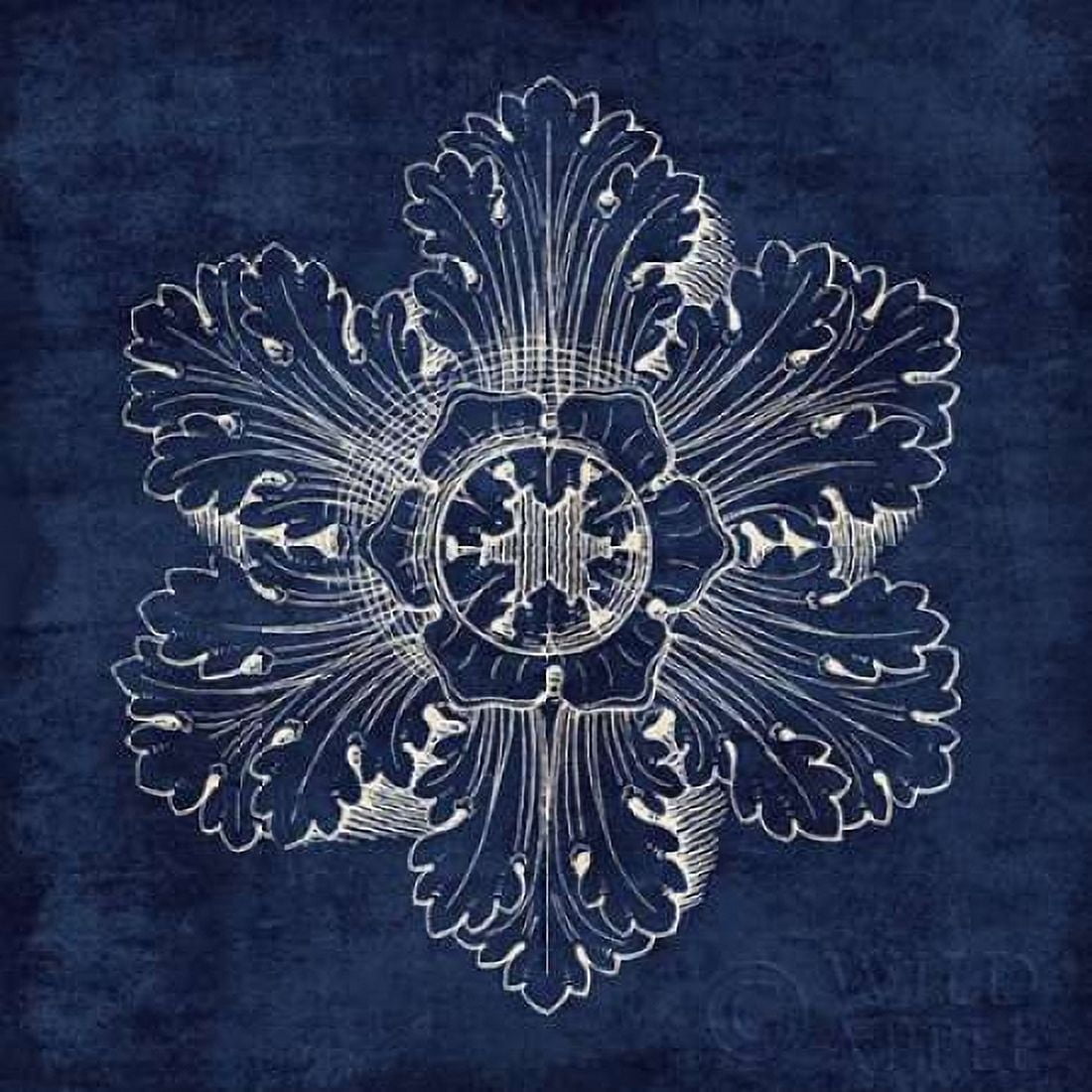 Rosette V Indigo Canvas Art - Wild Apple Portfolio (24 x 24)