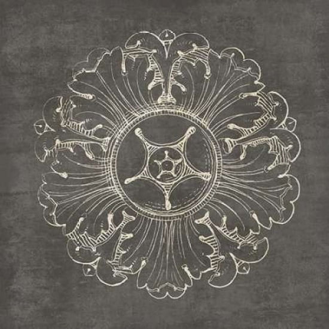 Rosette VI Gray Canvas Art - Wild Apple Portfolio (24 x 24)