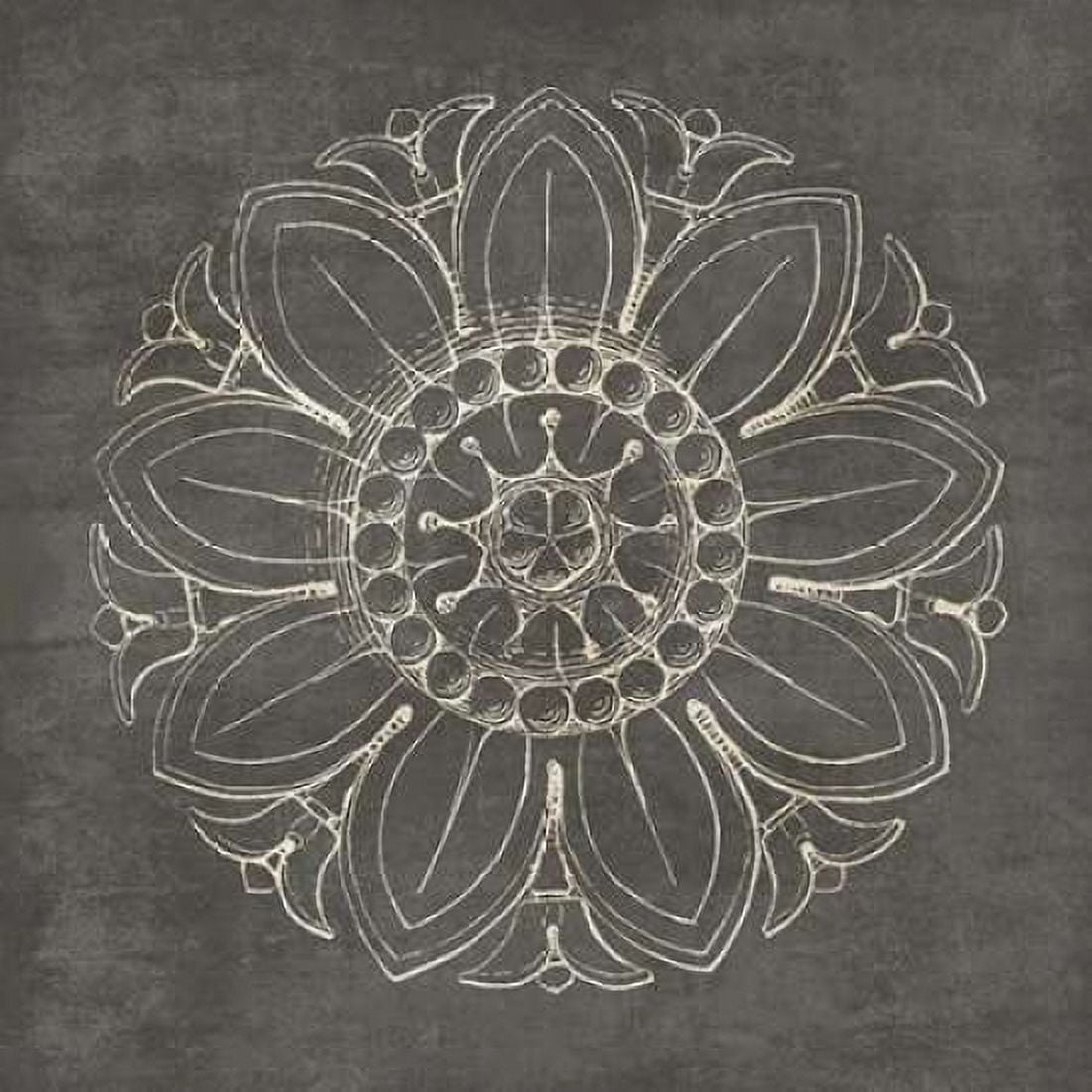 Rosette VII Gray Canvas Art - Wild Apple Portfolio (24 x 24)