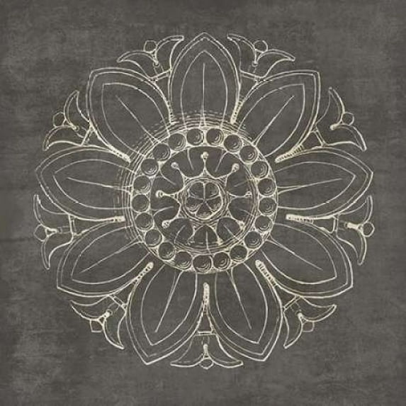 Rosette VII Gray Poster Print by Wild Apple Portfolio (24 x 24)