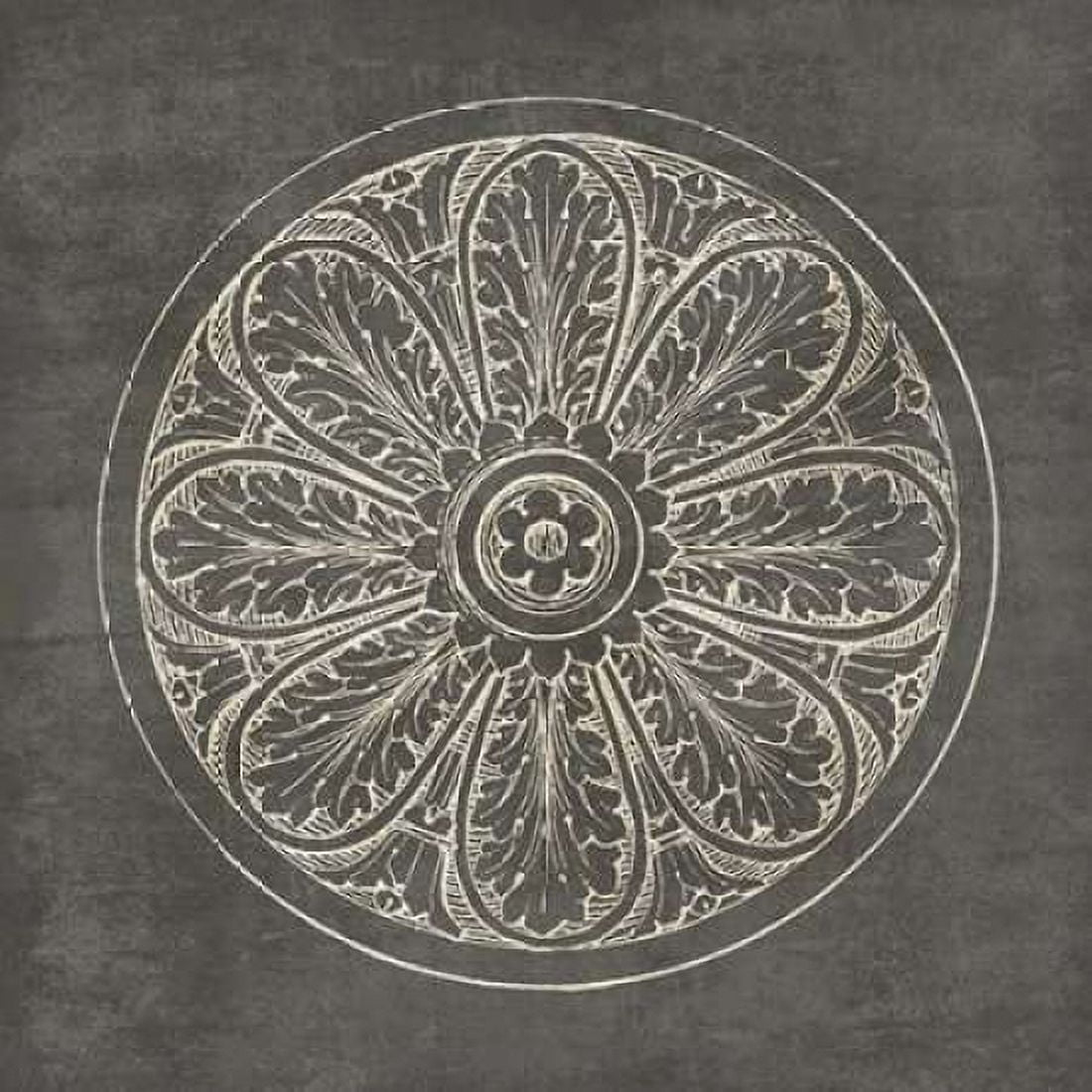 Rosette VIII Gray Canvas Art - Wild Apple Portfolio (24 x 24)
