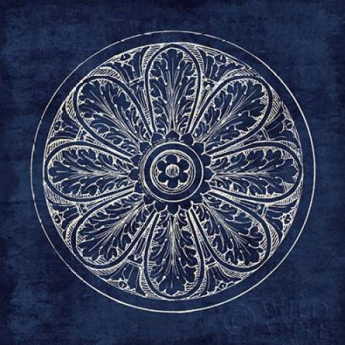Rosette VIII Indigo Canvas Art - Wild Apple Portfolio (24 x 24)