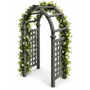 Rosewood 47" L x 24" W x 88" H Cedar Arbor, Charcoal