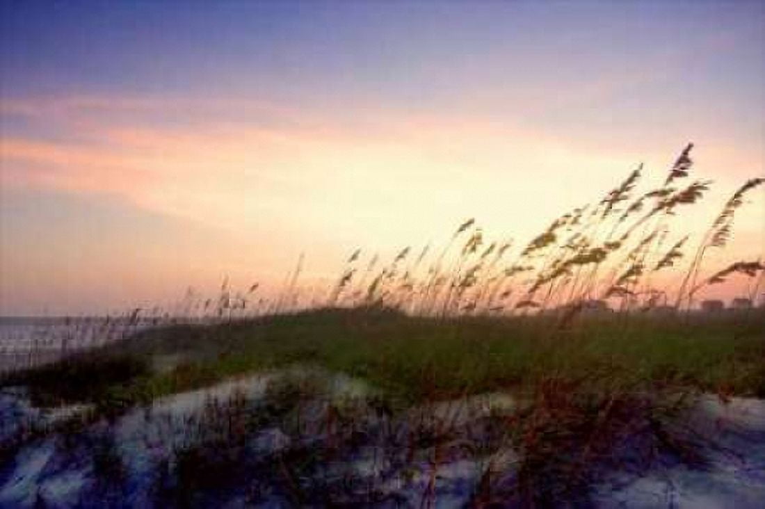 Rosey Sunset II Canvas Art - Alan Hausenflock (24 x 36)