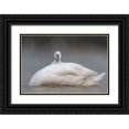 thumbnail image 1 of Roshkumar 14x11 Black Ornate Wood Framed with Double Matting Museum Art Print Titled - Cute Chick With Mum, 1 of 4