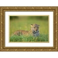 thumbnail image 1 of Roshkumar 18x13 Gold Ornate Wood Framed with Double Matting Museum Art Print Titled - The Leopard, 1 of 4