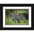 thumbnail image 1 of Roshkumar 24x17 Black Ornate Wood Framed with Double Matting Museum Art Print Titled - Leopard Family, 1 of 4
