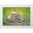 thumbnail image 1 of Roshkumar 24x17 White Modern Wood Framed Museum Art Print Titled - Promising, 1 of 4