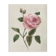 thumbnail image 1 of Stupell Industries Rosie Rose Floral Study Canvas Wall Art, design by Nan, 48 x 36, 1 of 7