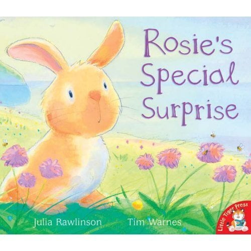 Pre-Owned Rosie's Special Surprise (Paperback) 184506898X 9781845068981