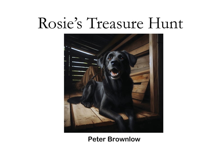 Rosie's Treasure Hunt, (Paperback)