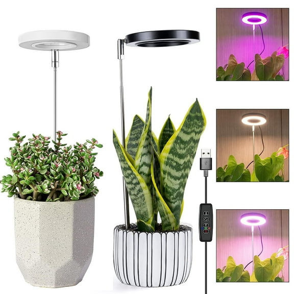 Rosnek LED Grow Lights, Plant Lights for Indoor Growing Full Spectrum Height-Adjustable with 3/9/12H Timer 10 Brightness & 3 Light Modes Ideal for Small Plants