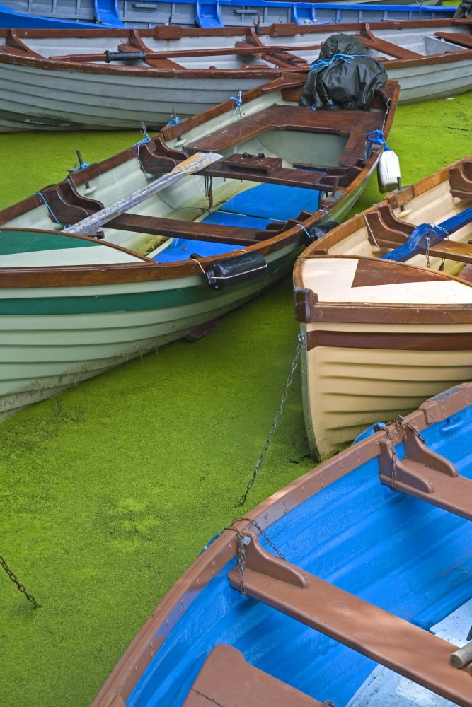 Ross Castle Killarney National Park County Kerry Ireland Boat Dock Canvas Art - Richard Cummins Design Pics (11 x 17)