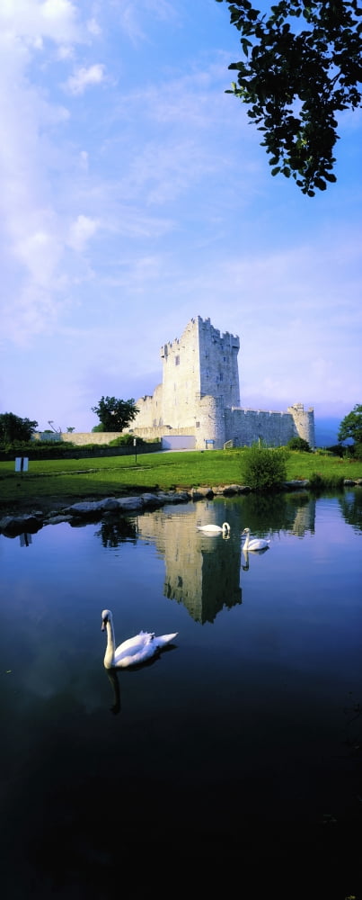 Ross Castle Lough Leane Killarney National Park Co Kerry Ireland 15Th Century Castle Canvas Art - The Irish Image Collection Design Pics (12 x 31)