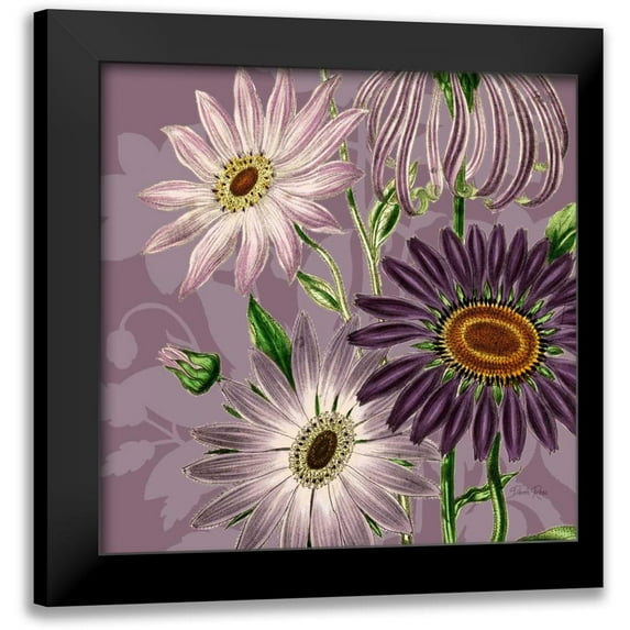 Ross, Devon 15x15 Black Modern Framed Museum Art Print Titled - Victorian Garden 2
