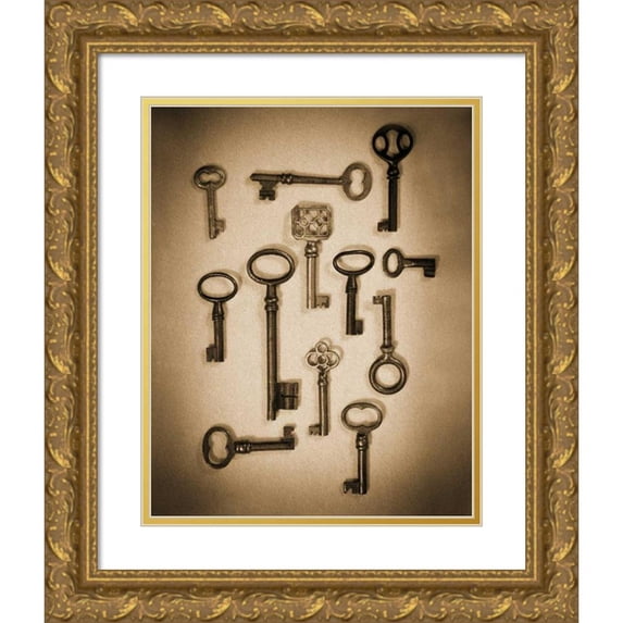 Ross, Heather 15x18 Gold Ornate Wood Framed with Double Matting Museum Art Print Titled - Key Elements I