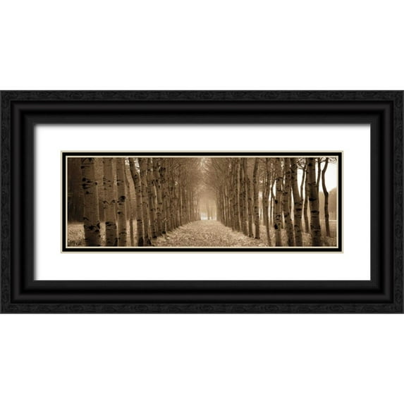 Ross, Heather 24x11 Black Ornate Wood Framed with Double Matting Museum Art Print Titled - The Shimmering Forest