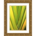 thumbnail image 1 of Ross, Nancy ,  Steve 17x24 Gold Ornate Wood Framed with Double Matting Museum Art Print Titled - USA, Hawaii, Big Island Tropical plant abstract, 1 of 4