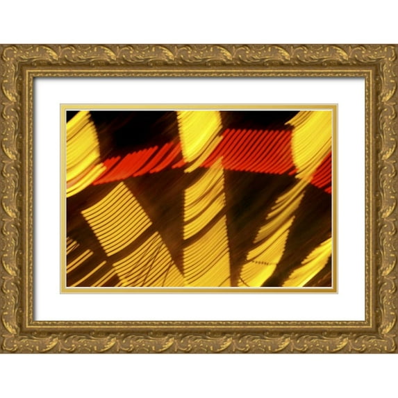 Ross, Nancy , Steve 18x13 Gold Ornate Wood Framed with Double Matting Museum Art Print Titled - Sweden, Stockholm Rides at Amusement Park