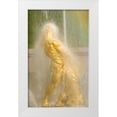 thumbnail image 1 of Ross, Nancy ,  Steve 21x32 White Modern Wood Framed Museum Art Print Titled - Russia Samson fountain at Peterhof, 1 of 4