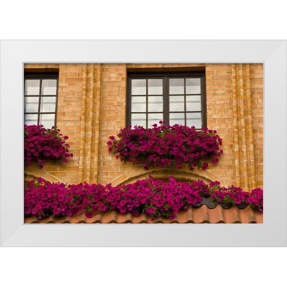 Ross, Nancy , Steve 24x17 White Modern Wood Framed Museum Art Print Titled - Poland, Gdansk Window boxes with purple petunias