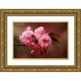 thumbnail image 1 of Ross, Nancy ,  Steve 32x23 Gold Ornate Wood Framed with Double Matting Museum Art Print Titled - Japan, Osaka Cherry blossoms during a Festival, 1 of 4