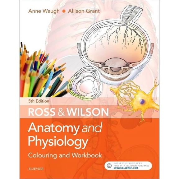 Ross & Wilson Anatomy and Physiology Colouring and Workbook (Paperback) by Anne Waugh, Allison Grant
