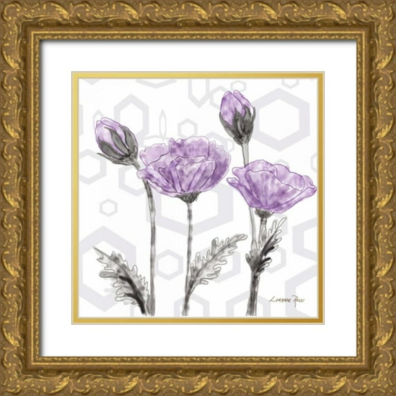 Rossi, Lorraine 12x12 Gold Ornate Wood Framed with Double Matting Museum Art Print Titled - Poppy Arch 2