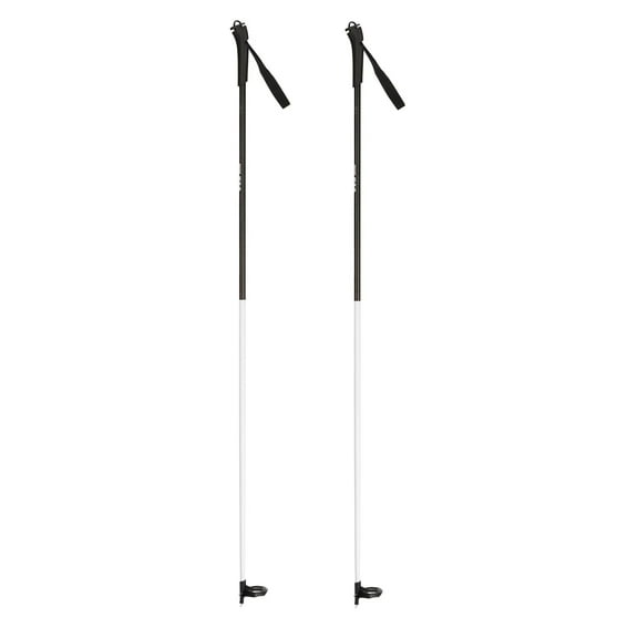 Rossignol FT-500 Poles, 145