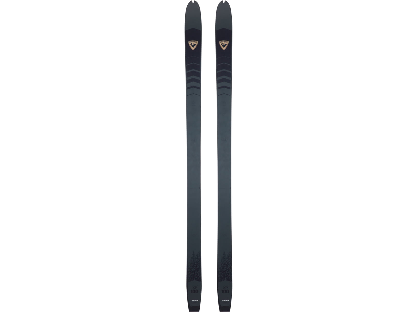 【送料無料】ROSSIGNOL/ロシニョール SPRAYER BC 170cm 楽天市場】ロシニョールの通販