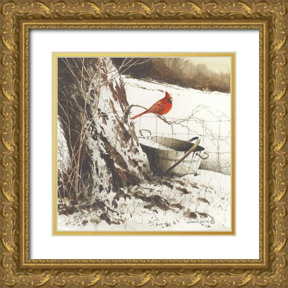 Rossini, John 12x12 Gold Ornate Wood Framed with Double Matting Museum Art Print Titled - Country Cardinal